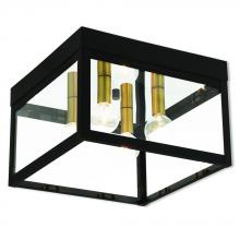 Livex Lighting 20589-07 - 4 Lt BZ Outdoor Ceiling Mount