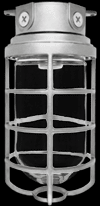 RAB Lighting VX200DGS - VAPORPROOF 200 CEILING 4 INCHES BOX 1/2 INCH SILVER GLOBEGLOBE CAST GUARD