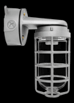 RAB Lighting VXBR100DGW - VAPORPROOF VXBR 100W WALL BRACKET 4 INCHES BOX 1/2 INCH WHITE WITH GLOBEGLOBE CAST GUARD