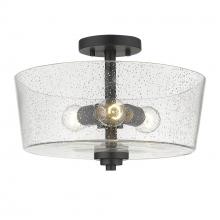 Acclaim Lighting IN61104BK - Rowe 3-Light Matte Black Semi-Flush Mount