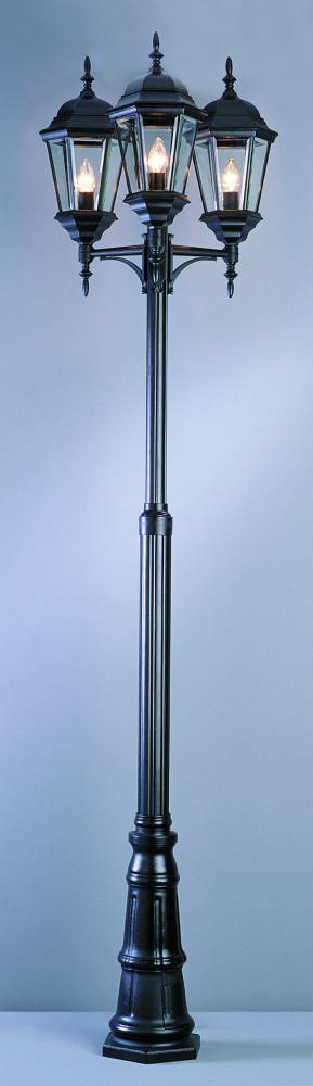 3 LT OUTDOOR POLE