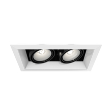 Eurofase TE162-02 - MULT,PAR20,TRM,2LT,50W,WH/BLK