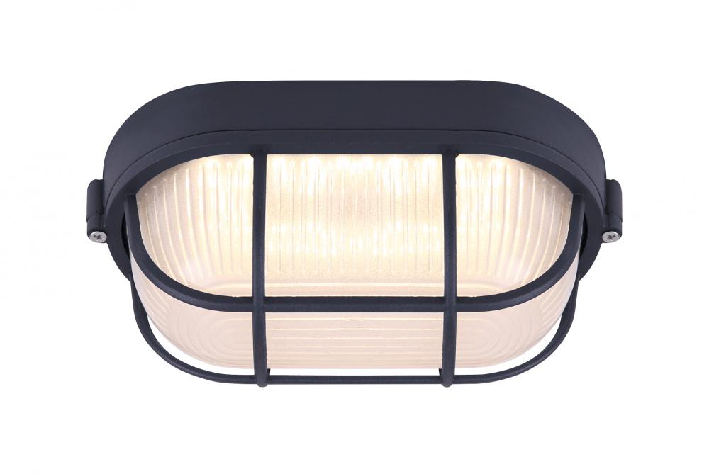 Black LED Outdoor Light, Frosted Glass, 819 Lumens
